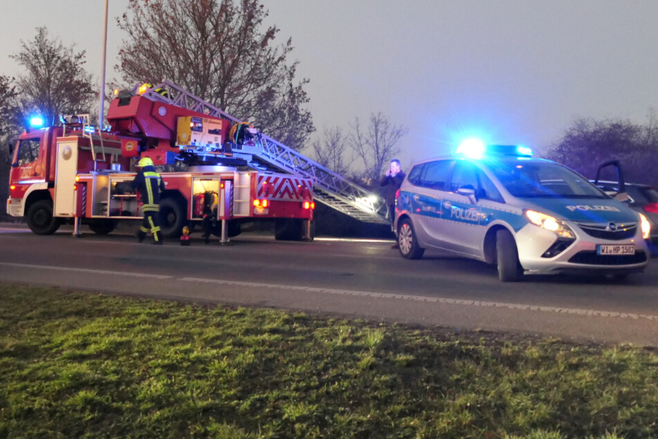 War es Mord? Frauenleiche in Gebüsch entdeckt!