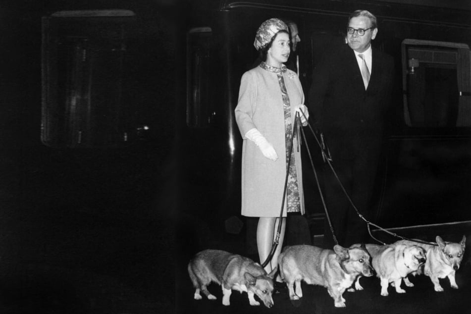 Queen Elizabeth II with her four Corgi dogs in 1969 (file photo).