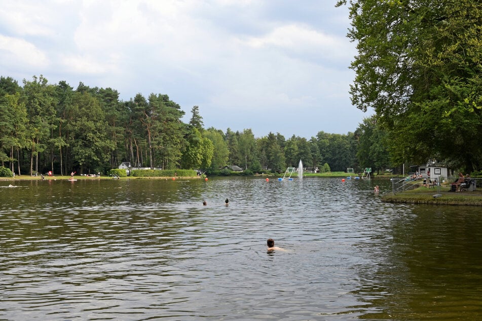 Im Waldbad Weixdorf wurden Höchstwerte von per- und polyfluorierte Alkylverbindungen (PFAS) gemessen. (Archivfoto)