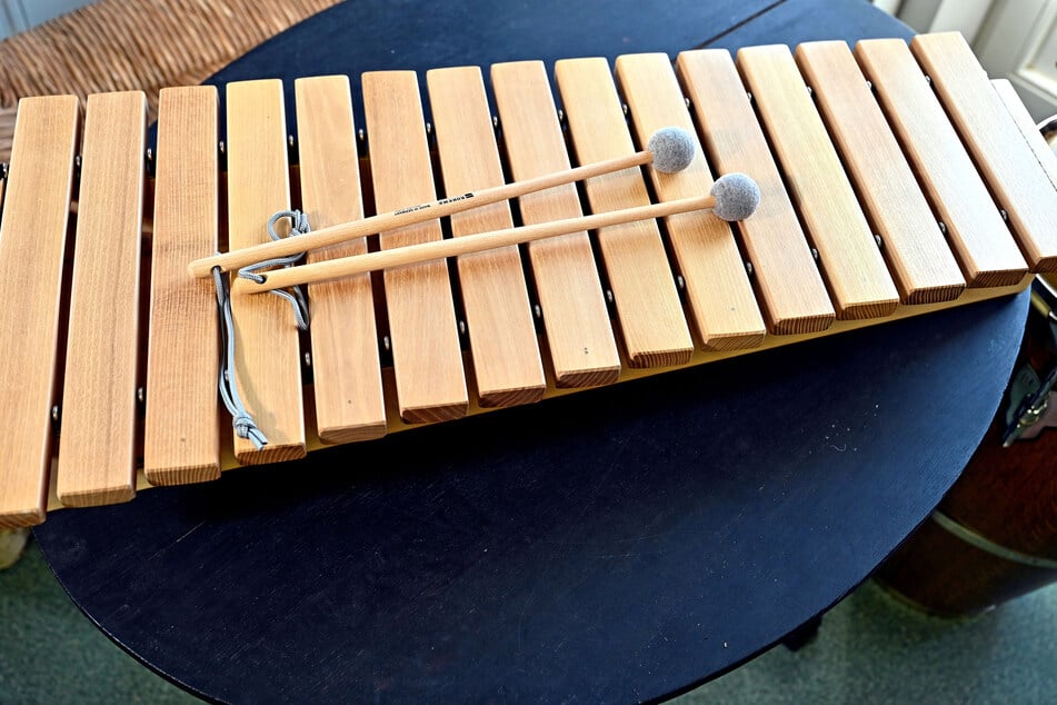 Zu Ehren der Flatter-Ulme, welche 2019 "Baum des Jahres" war, lernte Roloff das Spiel auf dem Xylofon aus entsprechendem Holz.