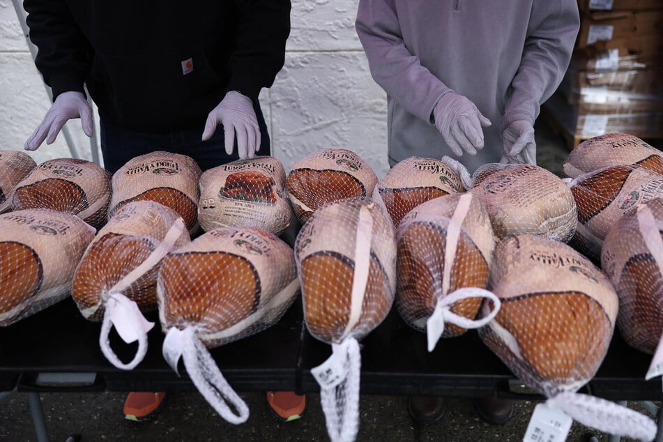 The turkey is the most traditional main course for Thanksgiving in the USA.