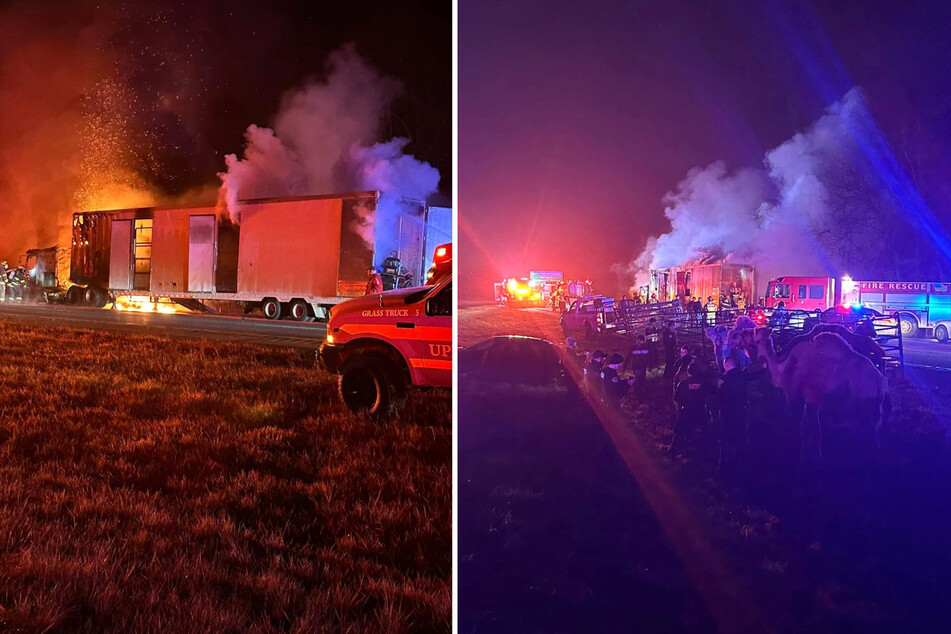 Several circus animals were rescued after the truck carrying them caught fire on Interstate 69 on Saturday.