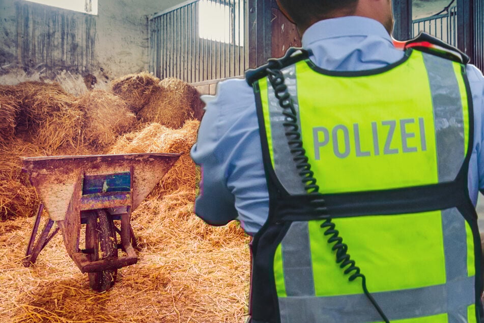 Die Polizei hat nach dem grausamen Fund weitere Ermittlungen aufgenommen. (Symbolfoto)