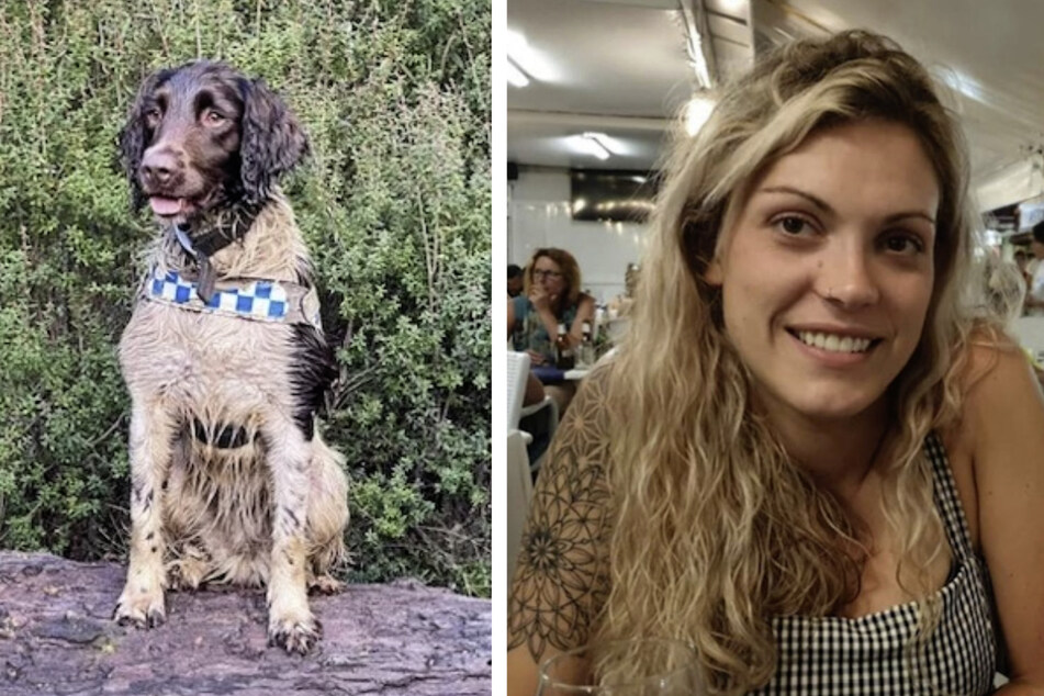 Vermisste Backpackerin: Spürhund soll nun ihre Leiche finden