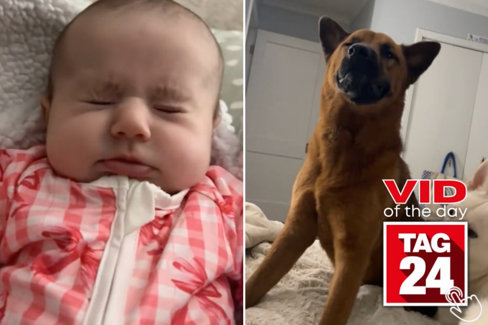 Today's Viral Video of the Day features a dog and baby duo who couldn't stop sneezing at the same exact time!