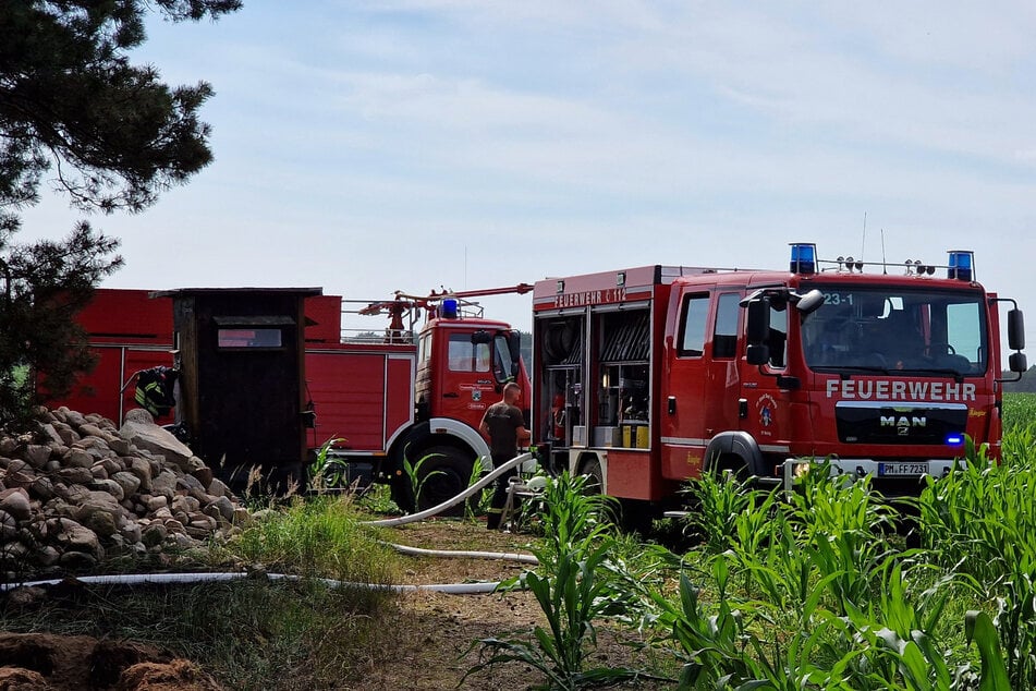 Der Brand war am frühen Nachmittag über die Waldbrandüberwachung entdeckt worden.