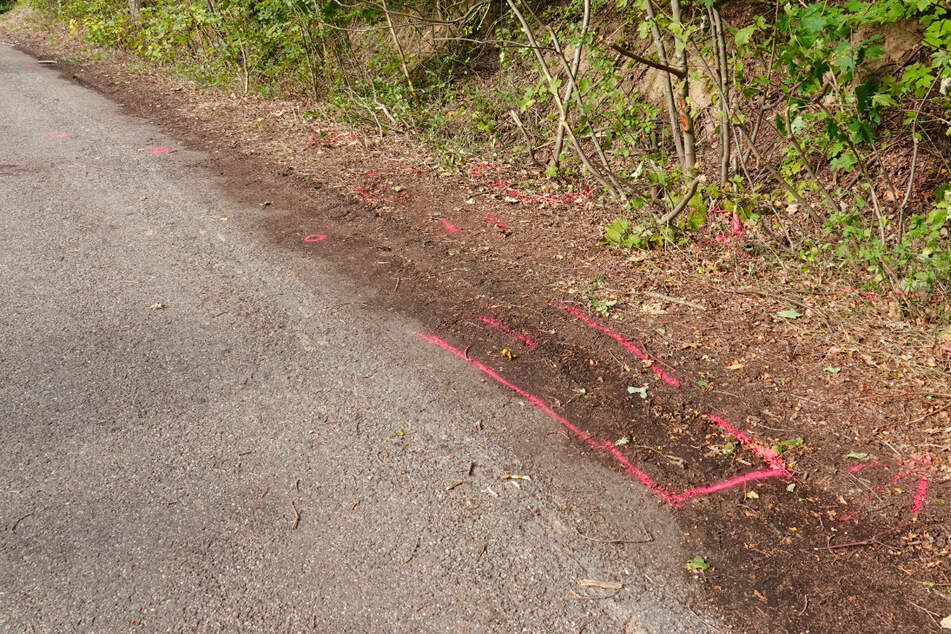 Totgefahren und liegen gelassen! Jogger leblos auf Straße entdeckt