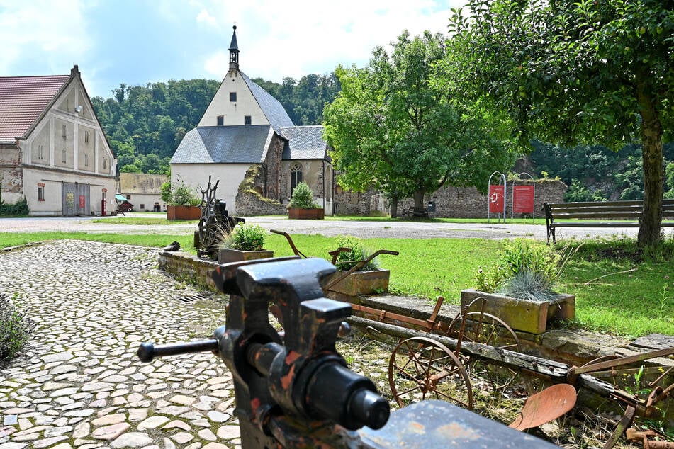Im ehemaligen Zisterzienserkloster findet am Sonnabend von 9 bis 15 ein Bauernmarkt statt.