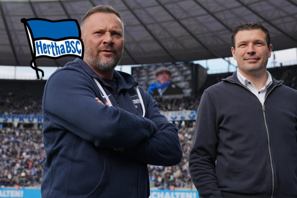 Hertha noch immer ohne Trainer: Wird der Neue diese Woche vorgestellt?