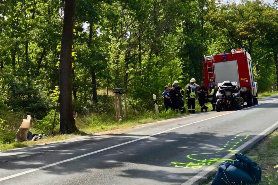 Das Quad des 46-Jährigen krachte gegen den Baum am Straßenrand, der Mann erlag seinen Verletzungen noch am Unfallort.