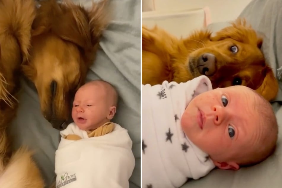 This fluffy dog and sweet baby make an adorable duo.