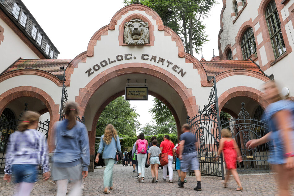 Probleme verzögern den Ausbau des Leipziger Zoos. (Archivbild)