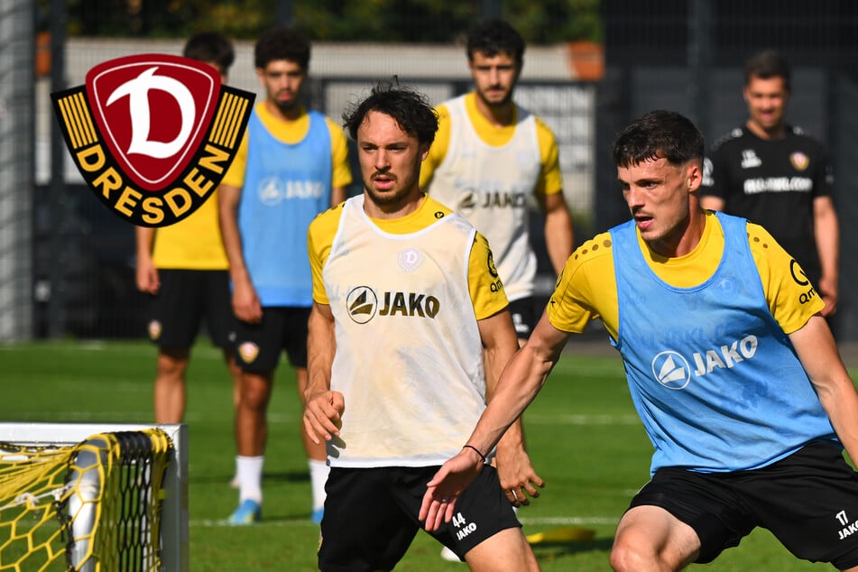 Dynamo-Dresden-Blog: SGD lädt zum öffentlichen Training ein