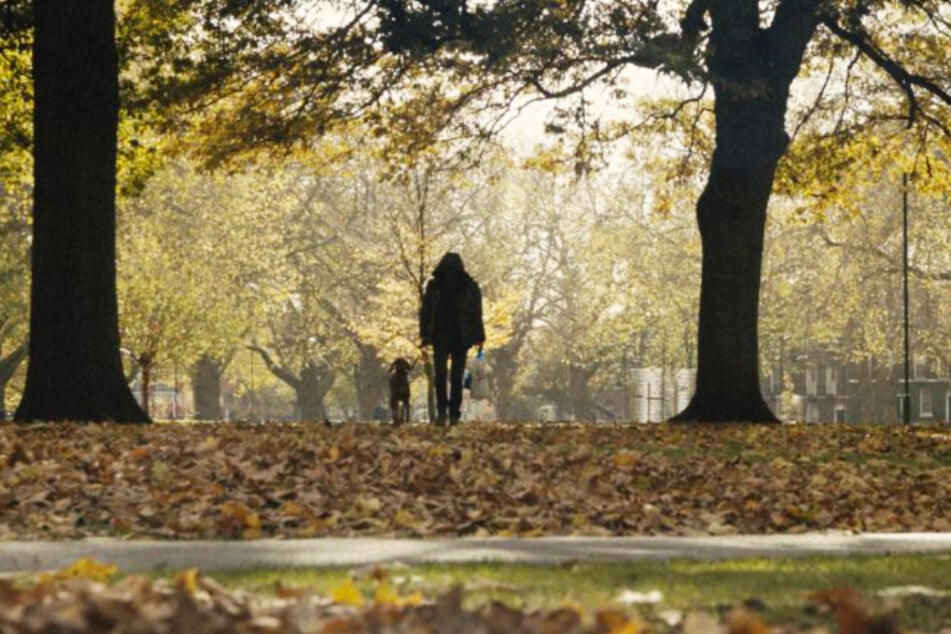 Daniel (Diarmaid Murtagh) geht regelmäßig im Park mit seinem Hund Bruno spazieren.