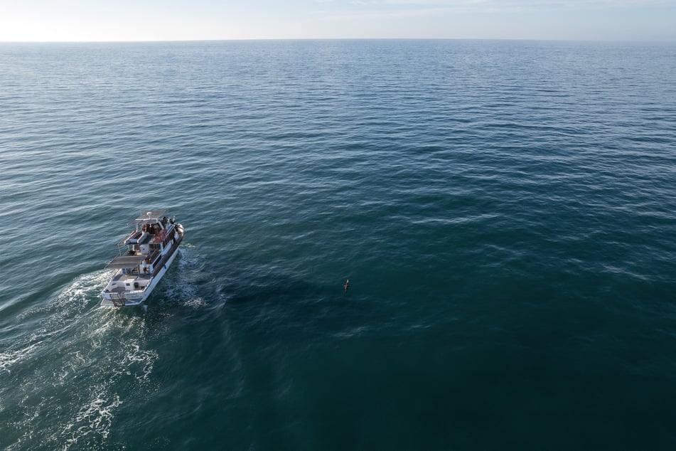 Scientists spent days patrolling the Gulf of California searching for the rare vaquita porpoise.