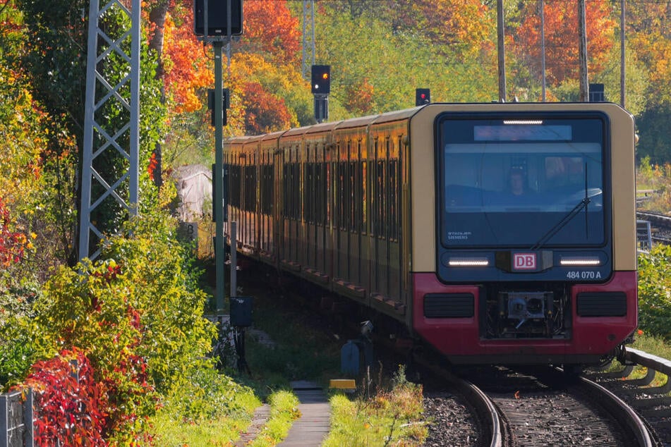 Berlin: S-Bahn repariert Signale in Berlin: Einschränkungen für Fahrgäste