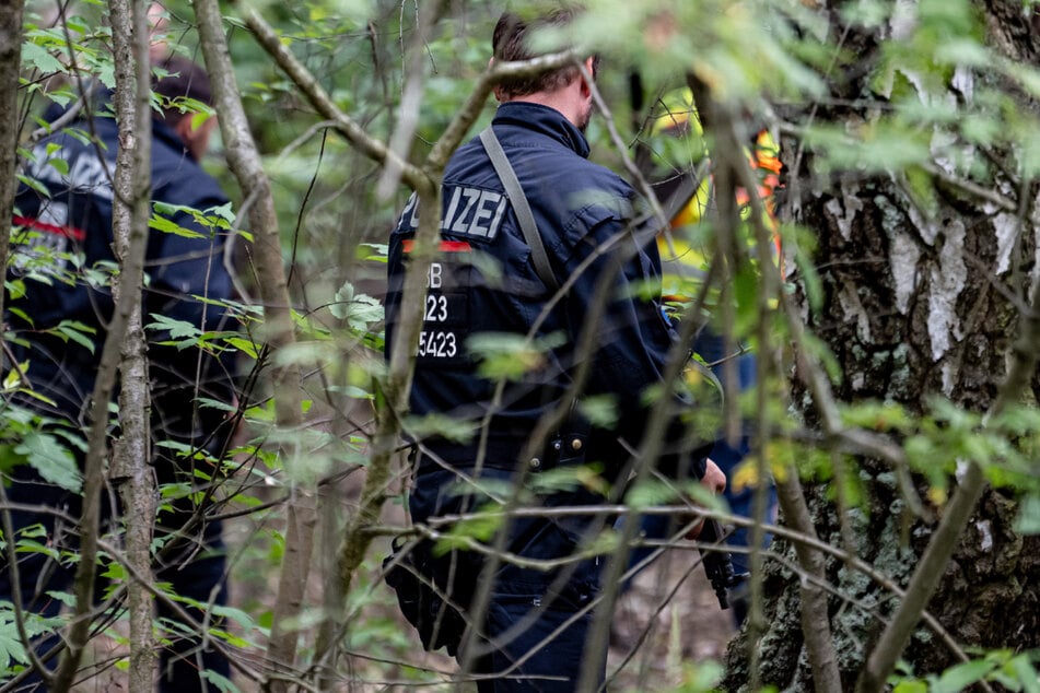 Polizisten durchsuchen ein Waldstück nach der vermeintlichen Löwin.