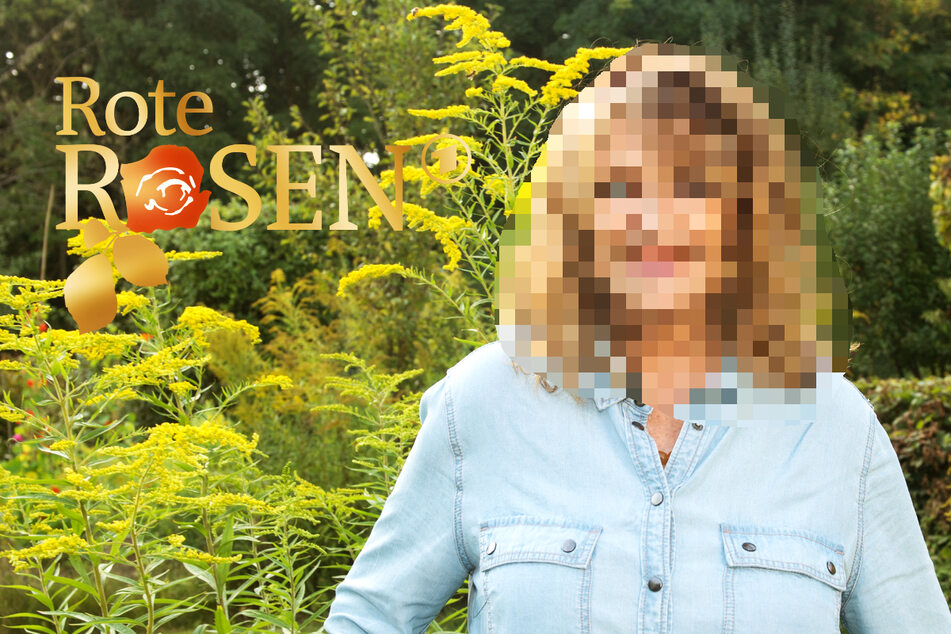 Rote Rosen: "Rote Rosen": Bekannte Sängerin übernimmt Gastrolle!