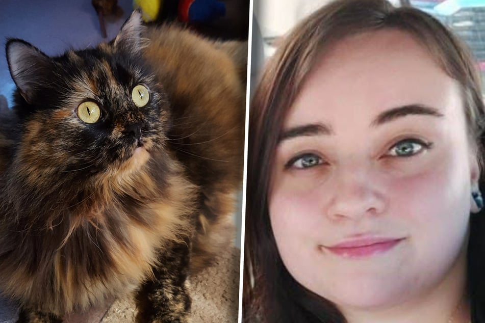 Katzen sind total aufgeregt: Was Besitzerin dann findet, kann sie kaum glauben
