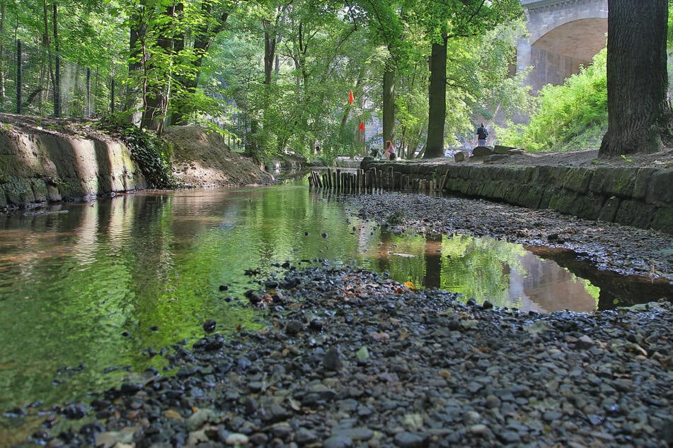 Zu trocken! Sächsischer Landkreis verbietet Wasser-Entnahme