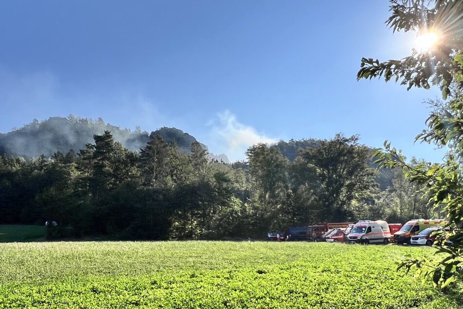 Am Sonntagmorgen ist am Pfaffenstein ein Waldbrand ausgebrochen.