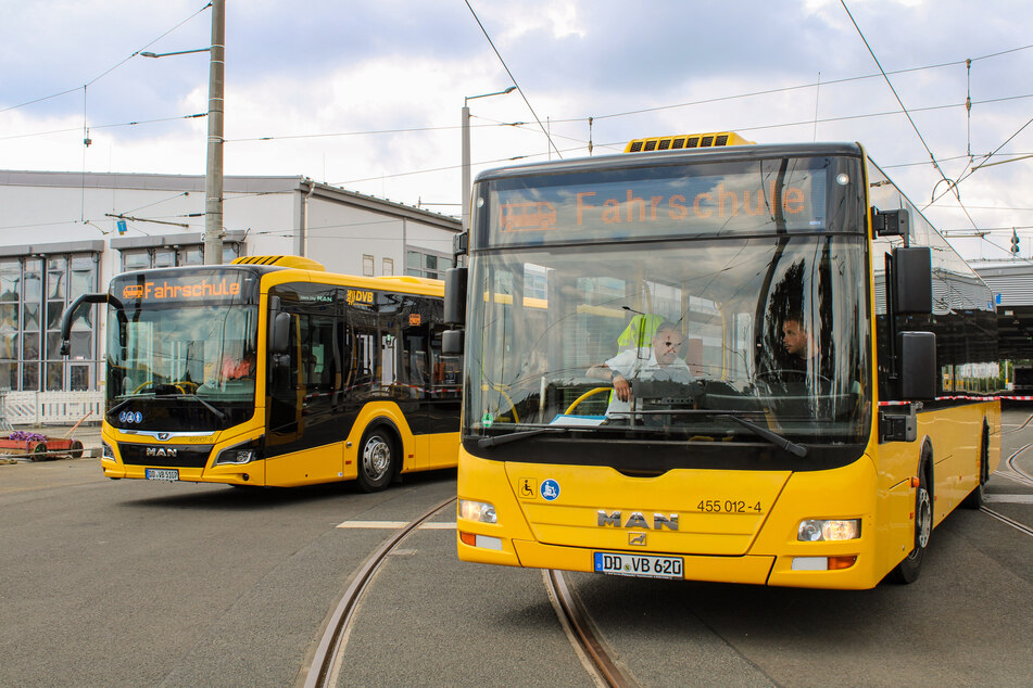 Das solltet Ihr zu den Bussen der Dresdner Verkehrsbetriebe wissen