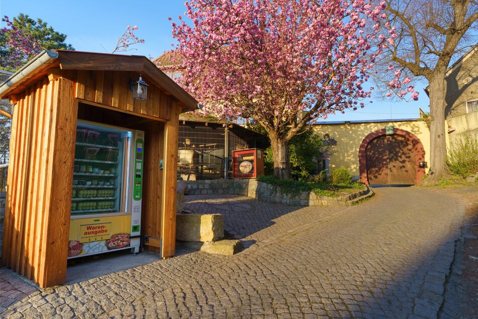 Der Eier- und Wurstautomat vom Bauernhof Marcus Kühne versorgt Kunden auch außerhalb der Hofladen-Öffnungszeiten.