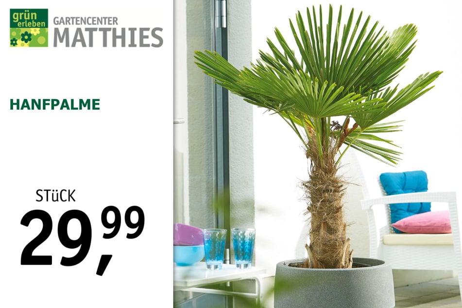 Dieses große Gartencenter hat am Sonntag (5.5.)