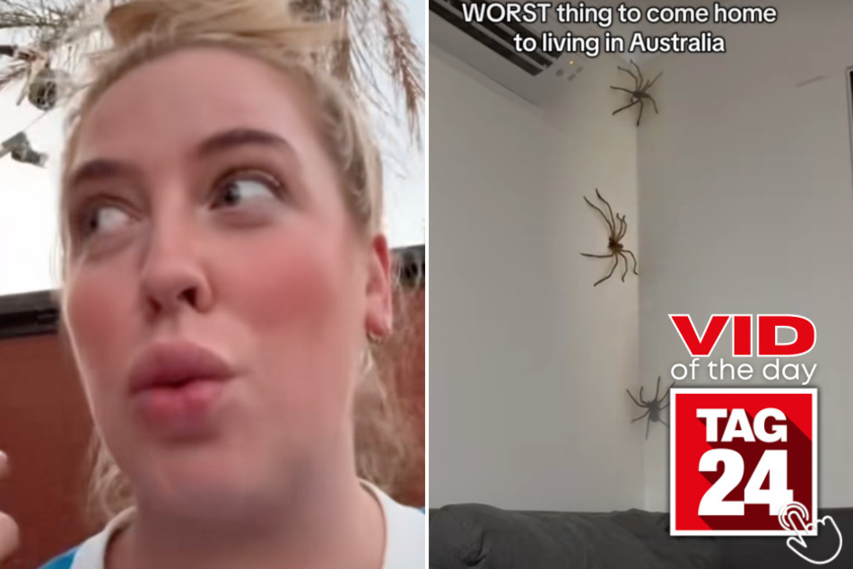 Today's Viral Video of the Day features a woman who returned home from vacation to discover a horrifying surprise!