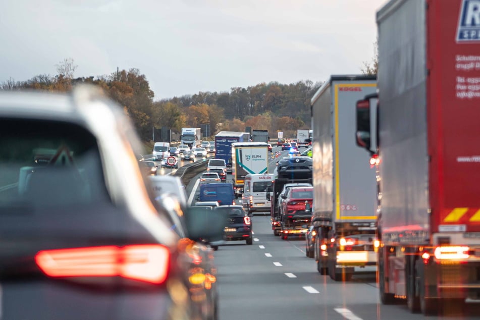 Das Grundstück ist über einen Wildschutzzaun von der A72 getrennt. (Symbolfoto)