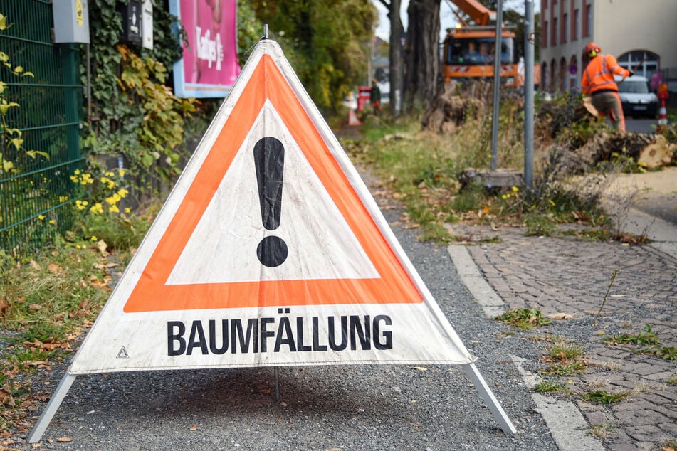 Achtung, ab hier wird's gefährlich.