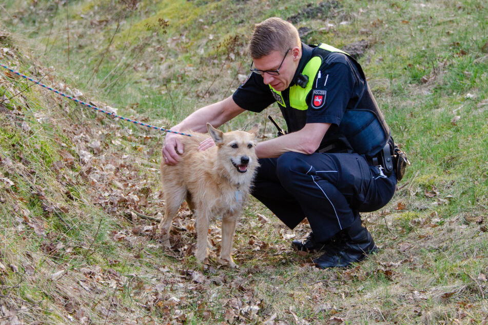 Ein Polizist kümmert sich um den verletzten Hund.