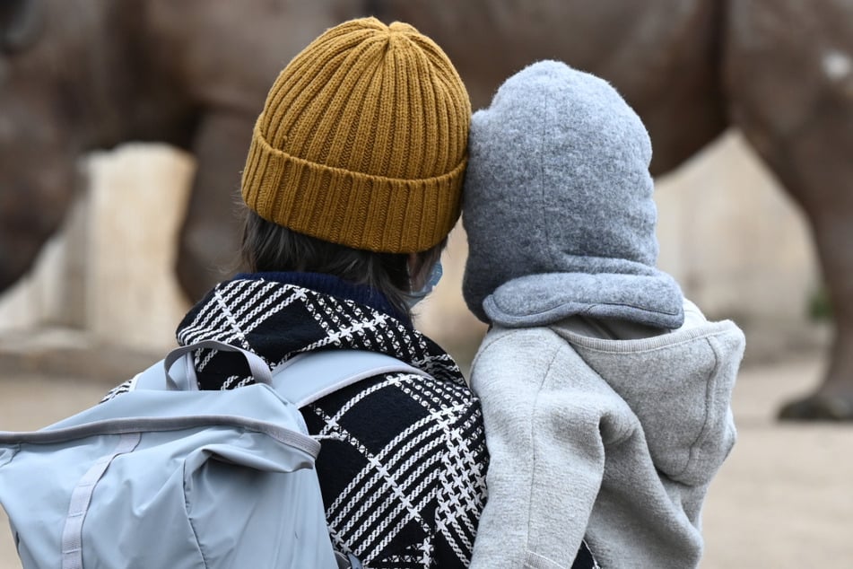 Im Frankfurter Zoo gibt es für große und kleine Besucher jede Menge zu sehen - nicht nur bei den Baumkängurus.