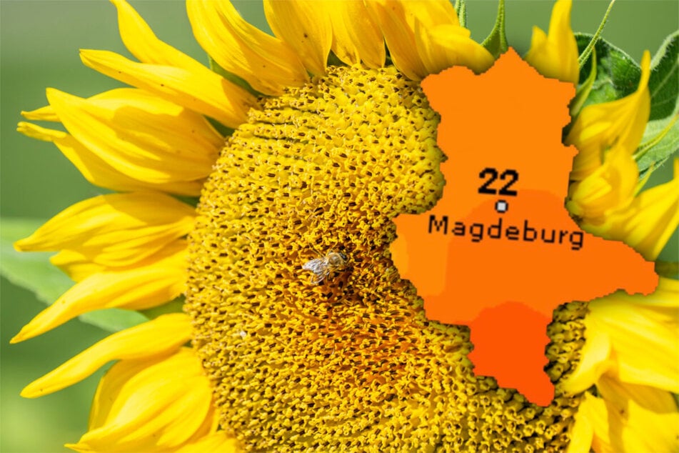Am Wochenende werden Temperaturen bis 34 Grad erreicht. (Symbolbild)