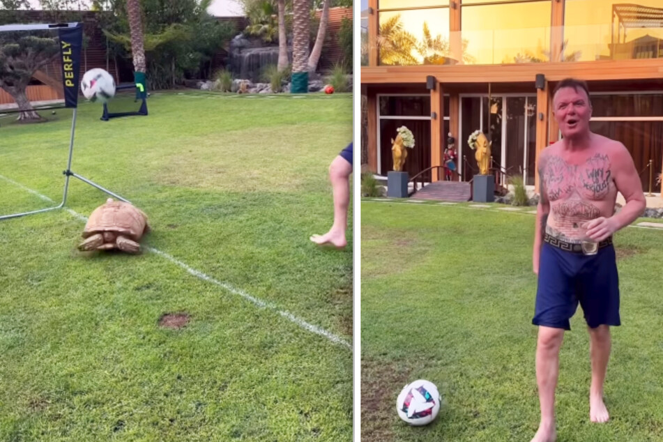 "Witziges" Spiel: Prinz Marcus von Anhalt (56) schießt mit dem Fußball auf seine Schildkröte Kleopatra.