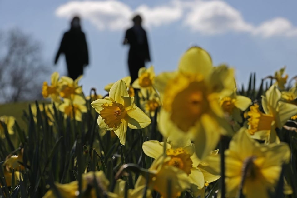 Ab Mittwoch können sich die Menschen in NRW wieder auf einige Sonnenstunden freuen. (Symbolbild)