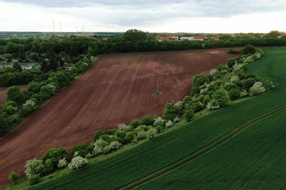 Im Rahmen der Suchmaßnahmen nach einer Vermissten wurde die Leiche der jungen Frau in einem Waldstück bei Benndorf gefunden.