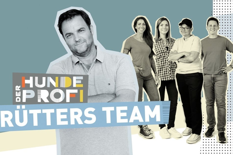 Mit seinem Team sucht Martin Rütter (55) bei tierischen Problemfällen nach Lösungen für ein gutes Zusammenspiel zwischen Mensch und Hund.