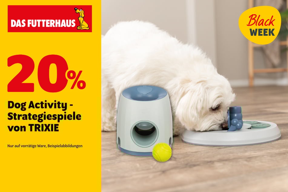 Dog Activity-Strategiespiele von TRIXIE