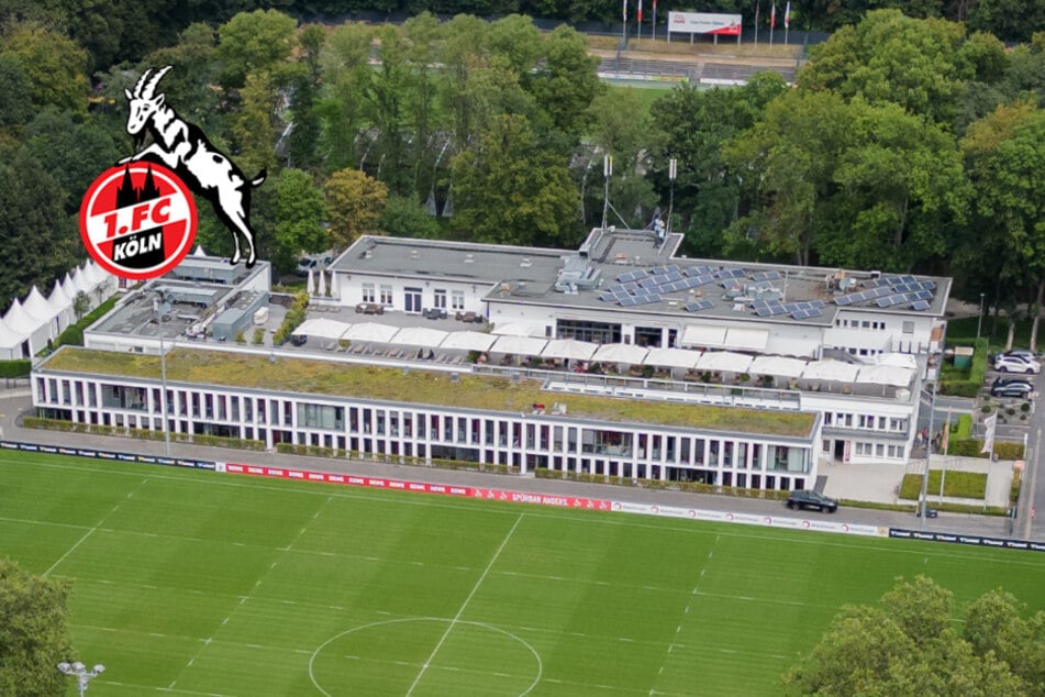 Wegen Abstieg: Mitarbeiter des 1. FC Köln müssen krasse Gehaltseinbußen hinnehmen