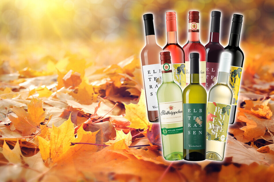 Wer gern Wein trinkt, muss diese Sorten probieren