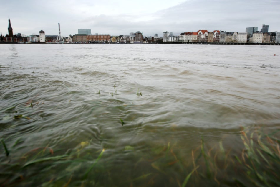 Der Fluss soll offenbar viel vermüllter sein als bisher angenommen.