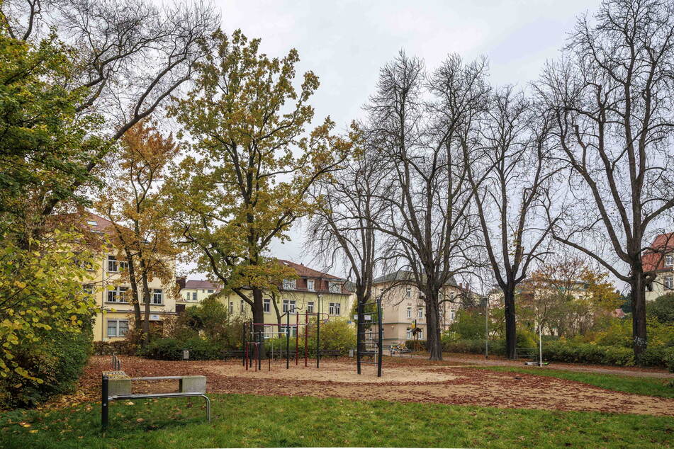 Der Volkspark Briesnitz ist bei kleinen und großen Anwohnern ein beliebter Naherholungsraum.