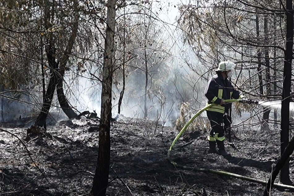 Ein Waldbrand bei Grävenwiesbach im Taunus stellte die Feuerwehr am Samstag vor besondere Herausforderungen: Das Feuer griff auf ein Gebiet mit Munitions-Resten über.