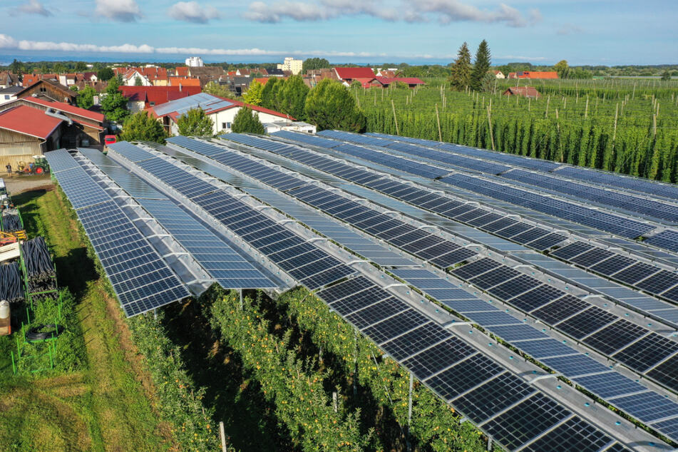 Bei Agri-Photovoltaik werden landwirtschaftliche Flächen doppelt genutzt: zum Anbau von Feldfrüchten^ und zur Stromerzeugung.
