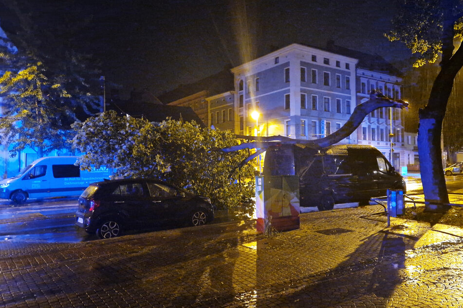 Nach Unwetter in Magdeburg: Umgestürzter Baum beschädigt Oberleitung