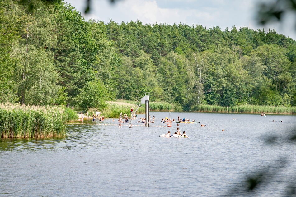 Der Brettmühlenteich in Thiendorf ist bei den World Transplant Games Austragungsort der Schwimm- und Triathlonwettbewerbe.