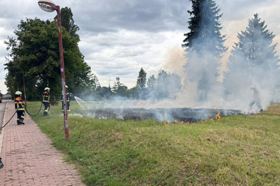 Im Abstand von wenigen hundert Metern brannten zwei Wiesen in Coswig.