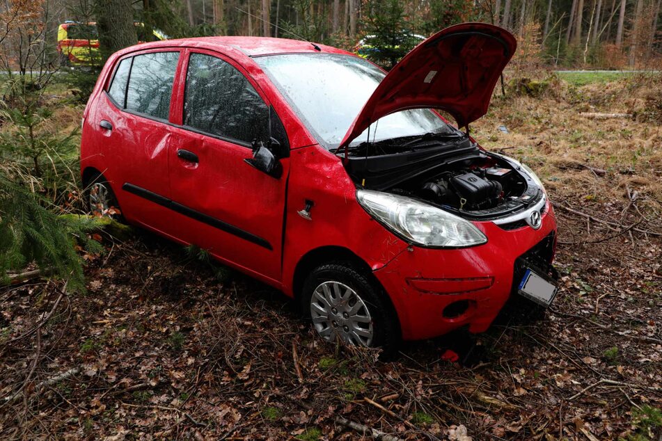 Der Hyundai i10 blieb in einem angrenzenden Wald stehen.