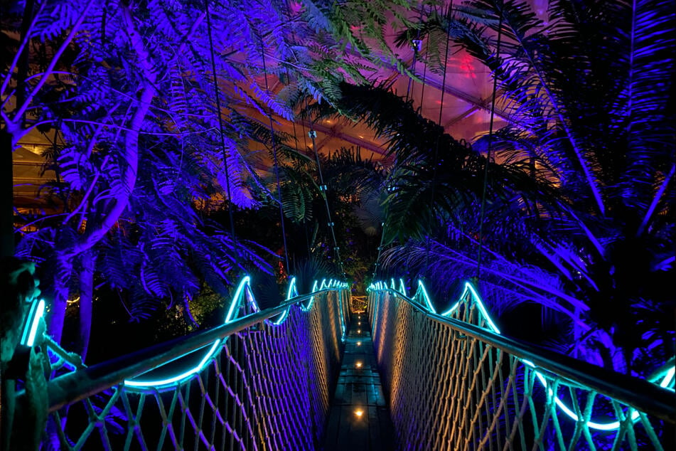 Ab dem 11. Januar bringt das "Magische Tropenleuchten" Licht ins Dunkle des Zoos.